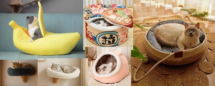 plusieurs modeles panier chat design chaud amusant muraux