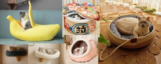 plusieurs modeles panier chat design chaud amusant muraux