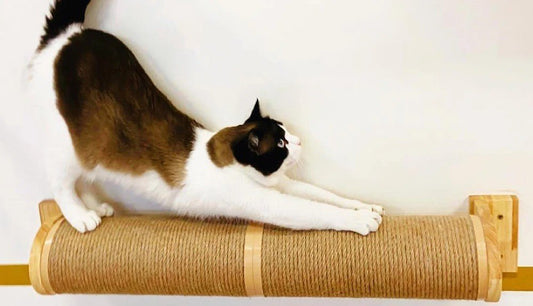 chat qui s’étire sur un griffoir mural en sisal et bois