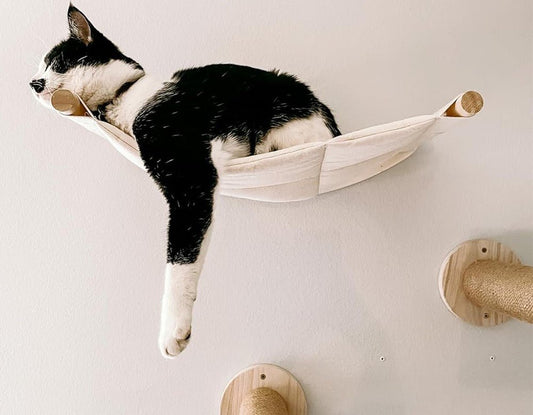 Guide complet pour bien choisir son hamac pour chat - Passion Murale