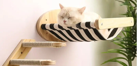 Hamac pour chat : astuces et bénéfices - Passion Murale