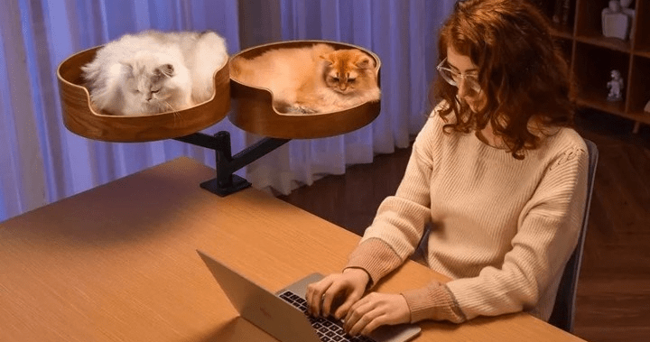 Hamac pour chat : différents types présentés et guide complet - Passion Murale
