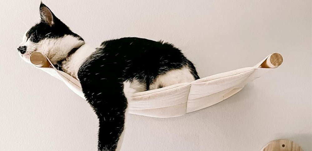 Hamac pour chat : permet un confort inégal qui comble ses instincts - Passion Murale