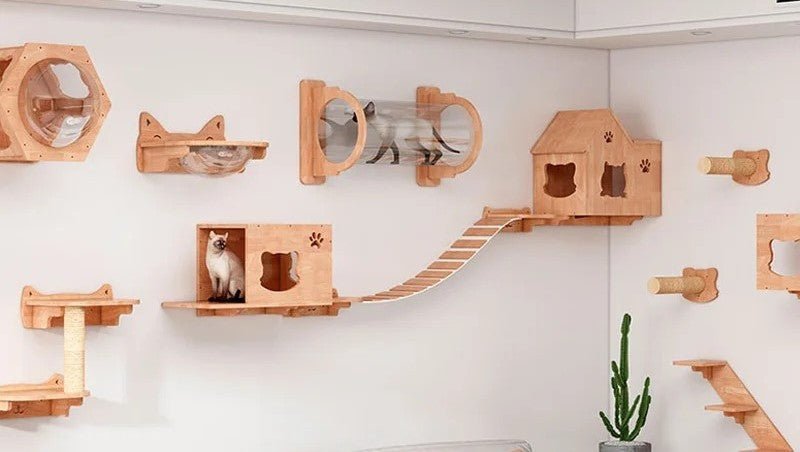 Pourquoi choisir un arbre à chat en bois ? - Passion Murale