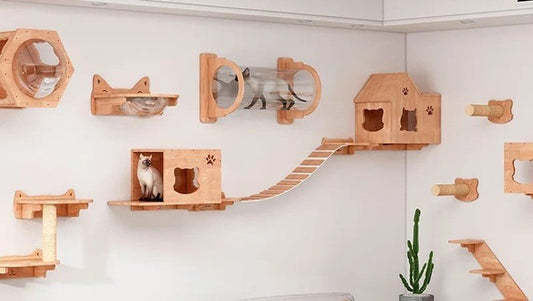 Pourquoi choisir un arbre à chat en bois ? - Passion Murale