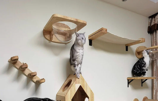 Quel hamac pour chat choisir ? - Passion Murale