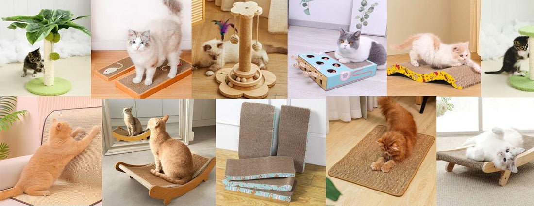 plusieurs modèles de griffoir chat presenté