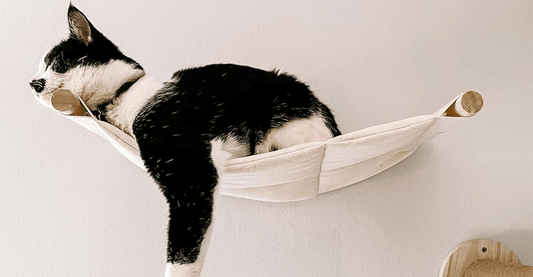 Chat confortablement installé dans un hamac mural pour chat design