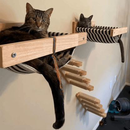 ARBRE À CHAT MURAL CHATCIEL BOIS NATUREL