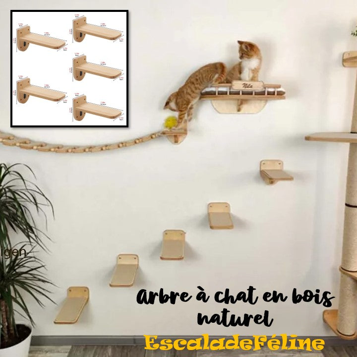 Arbre à chat en bois naturel-EscaladeFéline