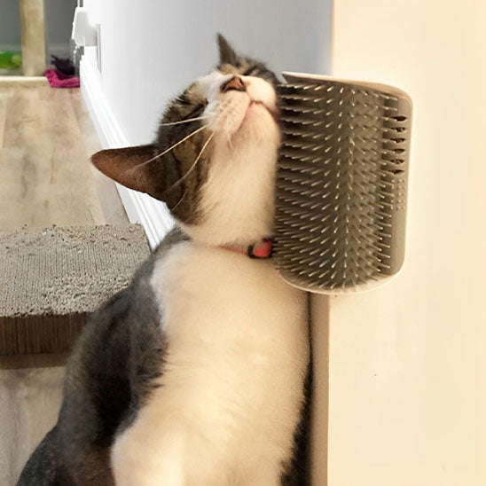 BROSSE POUR CHAT-TOPSATISFAISANT