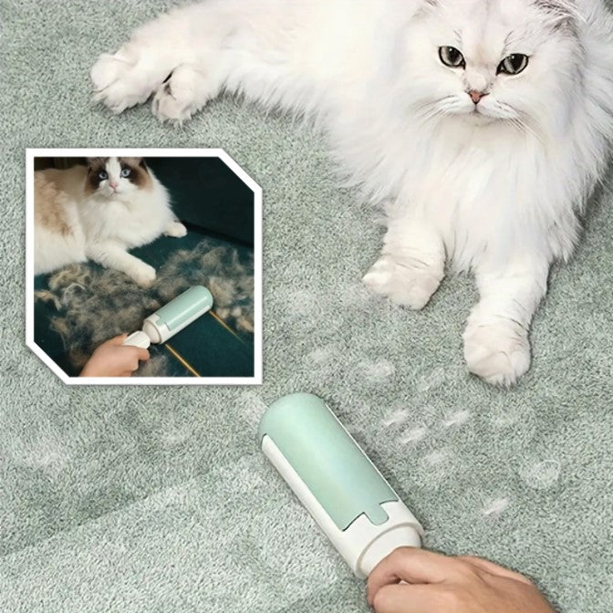 Brosse Pour Chat-MissionAccomplie