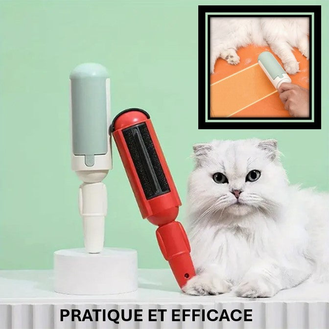 Brosse Pour Chat-MissionAccomplie