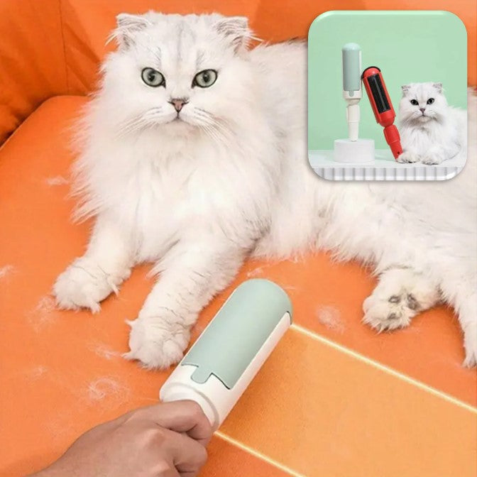 Brosse Pour Chat-MissionAccomplie