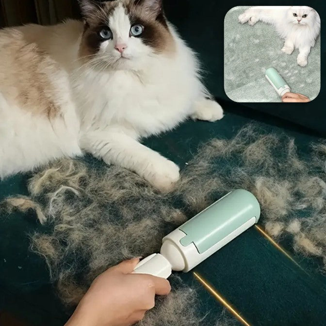 Brosse Pour Chat-MissionAccomplie