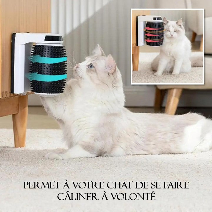 Brosse pour chat-TopCâlin