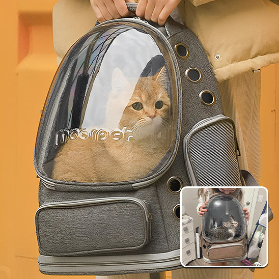 CHAT SAC DE TRANSPORT-ULTRAPARFAIT