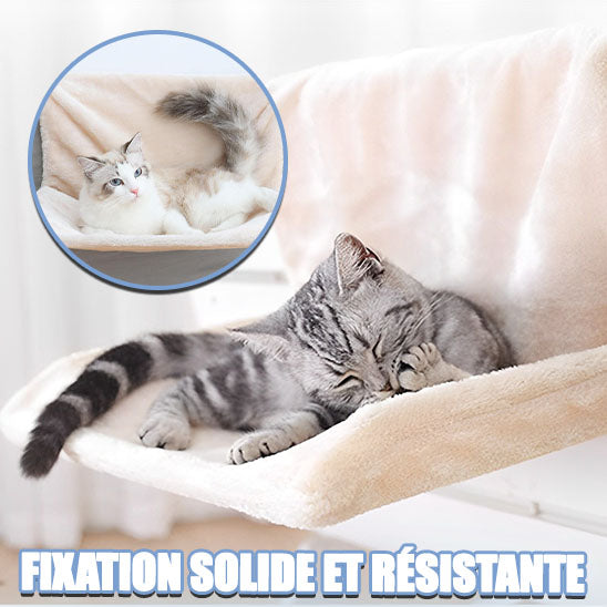 HAMAC POUR CHAT-DOUDOU