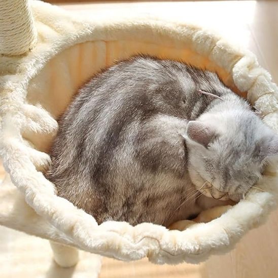 Hamac pour chat-Obesoin