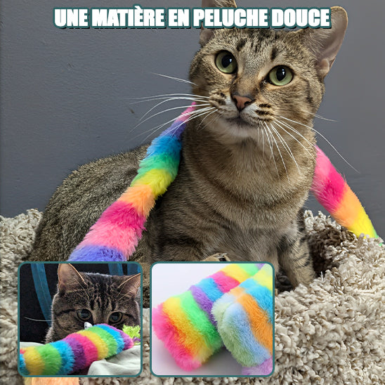 JOUET CHAT-TOPFLASH