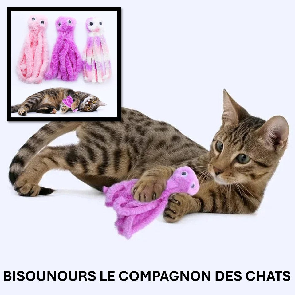 JOUET POUR CHAT-BISOUNOURS