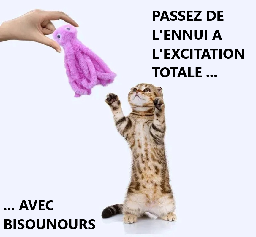 JOUET POUR CHAT-BISOUNOURS