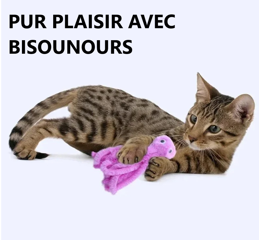 JOUET POUR CHAT-BISOUNOURS