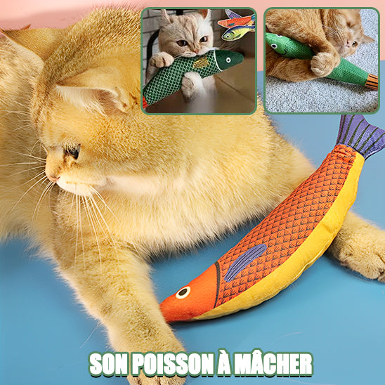 JOUETS POUR LES CHATS-TOPCOCASSE