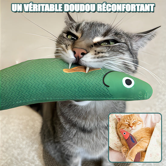 JOUETS POUR LES CHATS-TOPCOCASSE