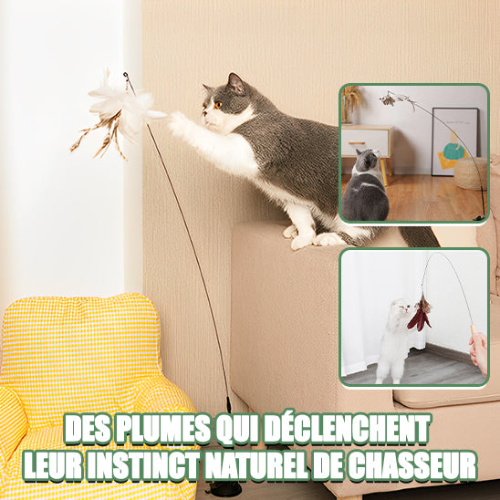 Jouet Pour Chat-L'ultime