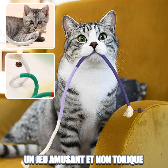 Jouet Pour Chat-TopCorde