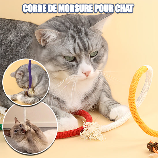 Jouet Pour Chat-TopCorde