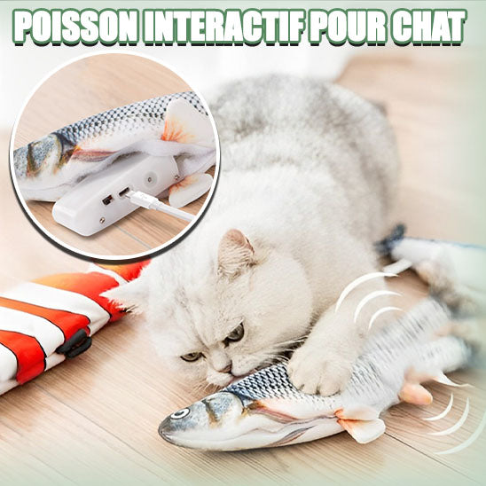 Jouet Pour Chat-TopMecanic