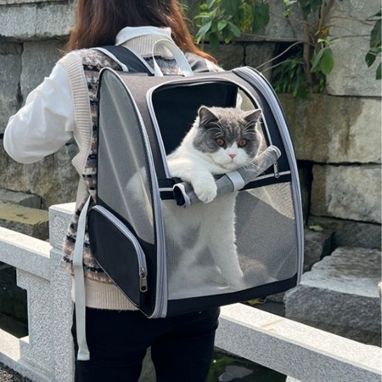 SAC DE TRANSPORT CHAT-L'INCONTOURNABLE