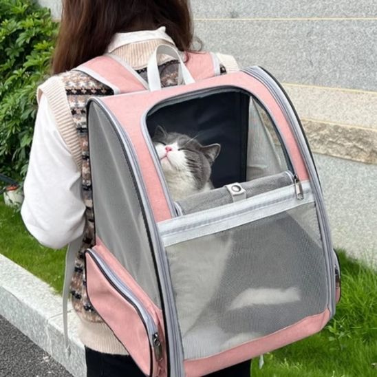 SAC DE TRANSPORT CHAT-L'INCONTOURNABLE