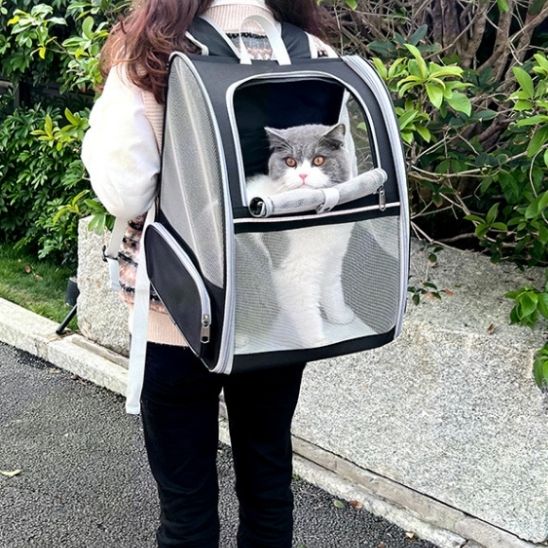 SAC DE TRANSPORT CHAT-L'INCONTOURNABLE