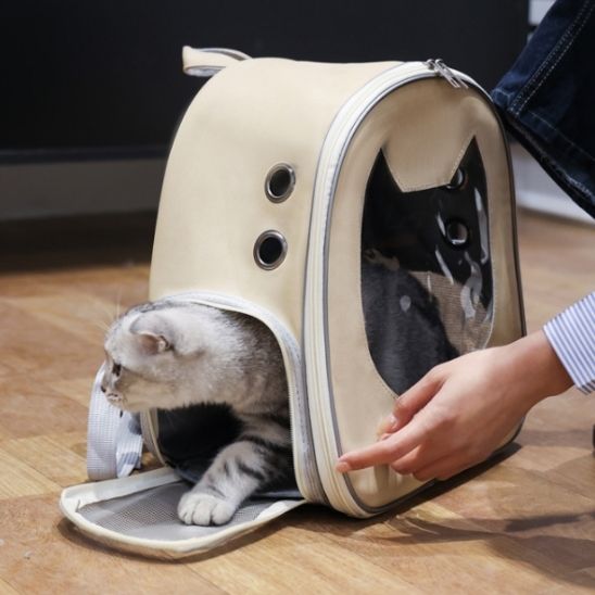 SAC DE TRANSPORT CHAT-PETITCHAT