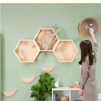 superbe parcours mural avec trois arbre à chat bois naturel ChatVana