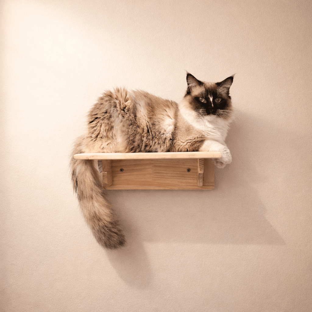 perchoir mural pour chat en bois naturel