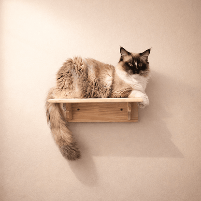 perchoir mural pour chat en bois naturel
