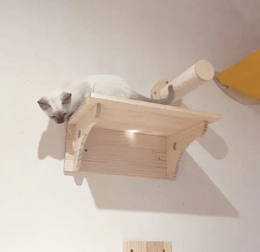 chaton explore arbre à chat bois en hauteur NaturElégance