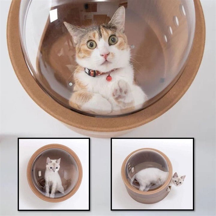 ARBRE À CHAT DESIGN - BASE SPATIAL - Passion Murale