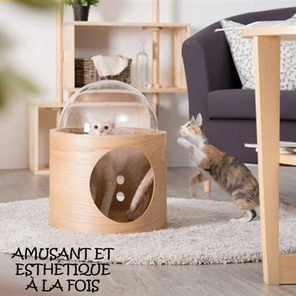 ARBRE À CHAT DESIGN - BASE SPATIAL - Passion Murale