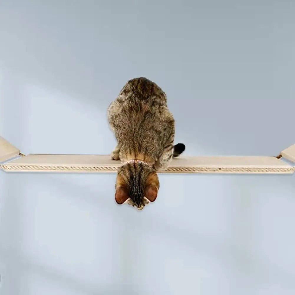 ARBRE À CHAT DESIGN - LA PASSERELLE - Passion Murale