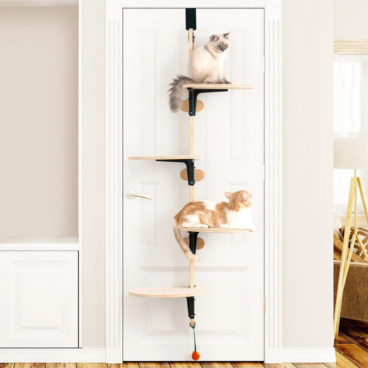 deux chats observes territoire sur arbre à chat design Le quatuor félin