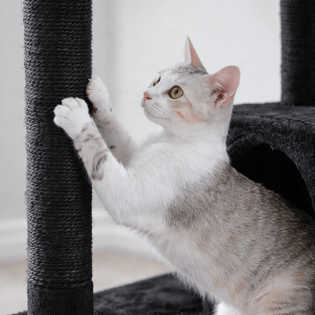 Arbre à chat design – Moderne, stable et multi - niveaux 🐾 - Passion Murale