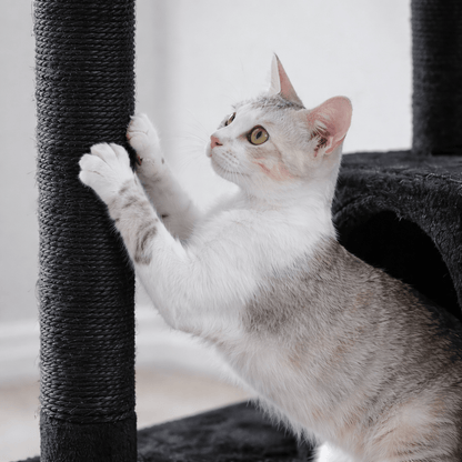 Arbre à chat design – Moderne, stable et multi - niveaux 🐾 - Passion Murale