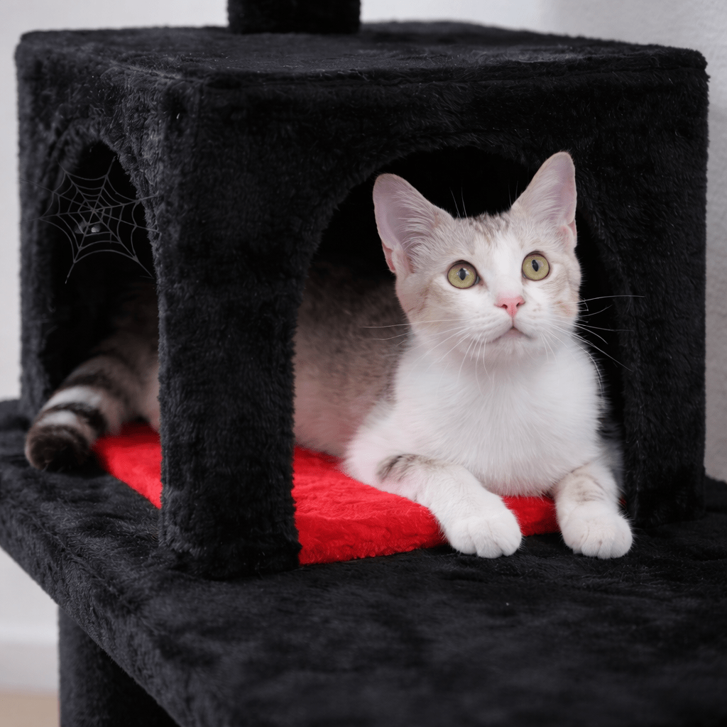 Arbre à chat design – Moderne, stable et multi - niveaux 🐾 - Passion Murale