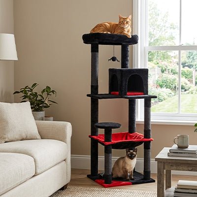 Arbre à chat design – Moderne, stable et multi - niveaux 🐾 - Passion Murale