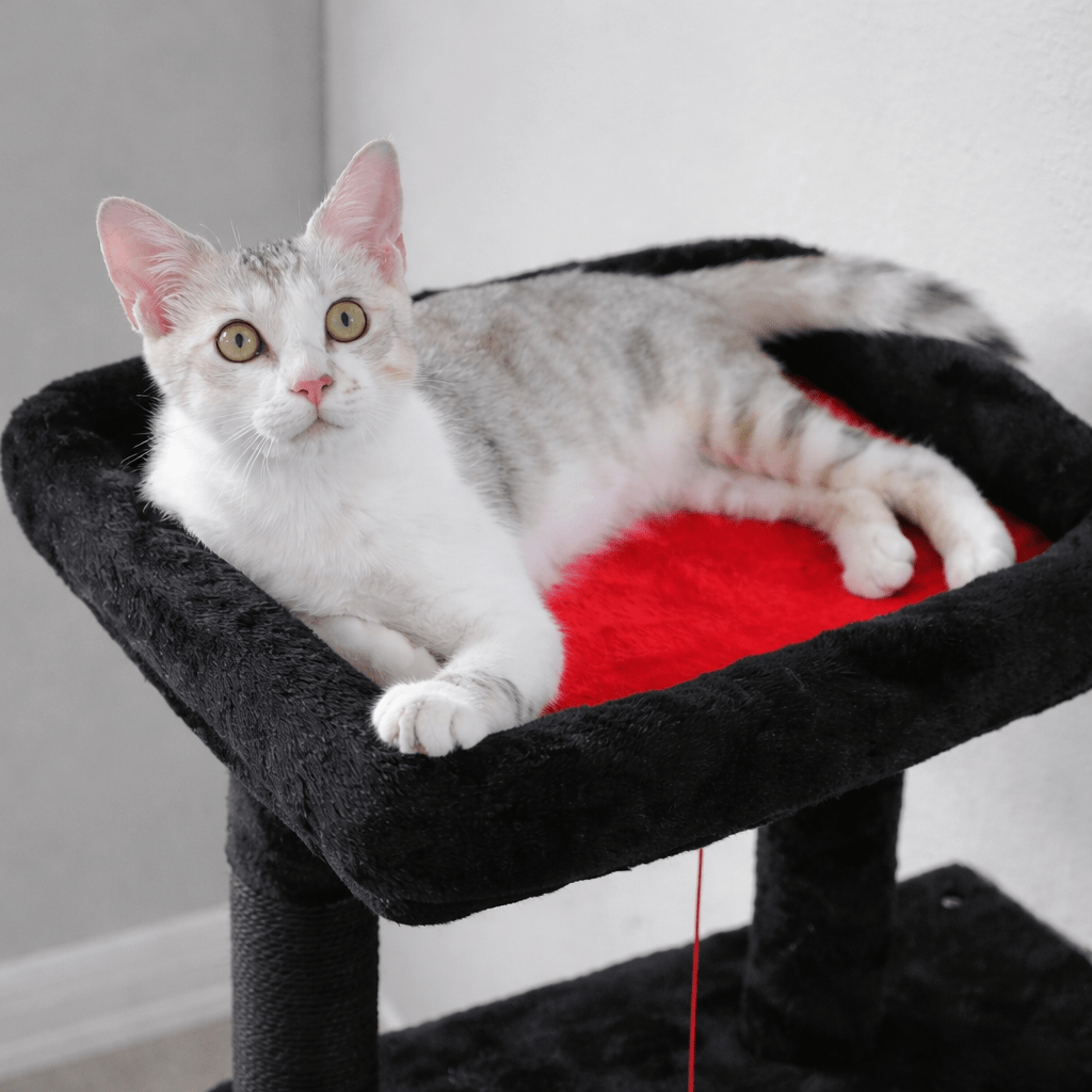 Arbre à chat design – Moderne, stable et multi - niveaux 🐾 - Passion Murale